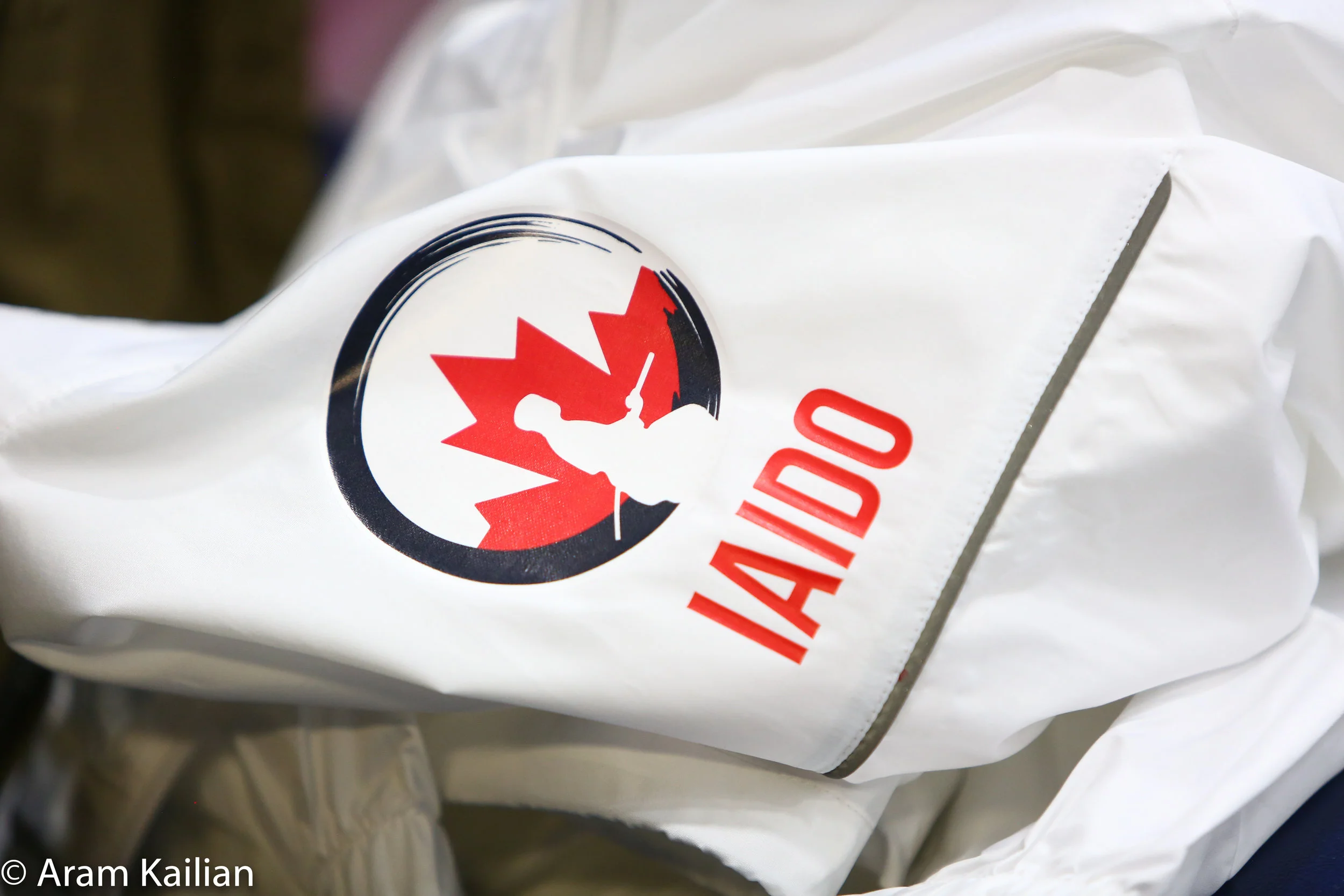 Why Team Canada?