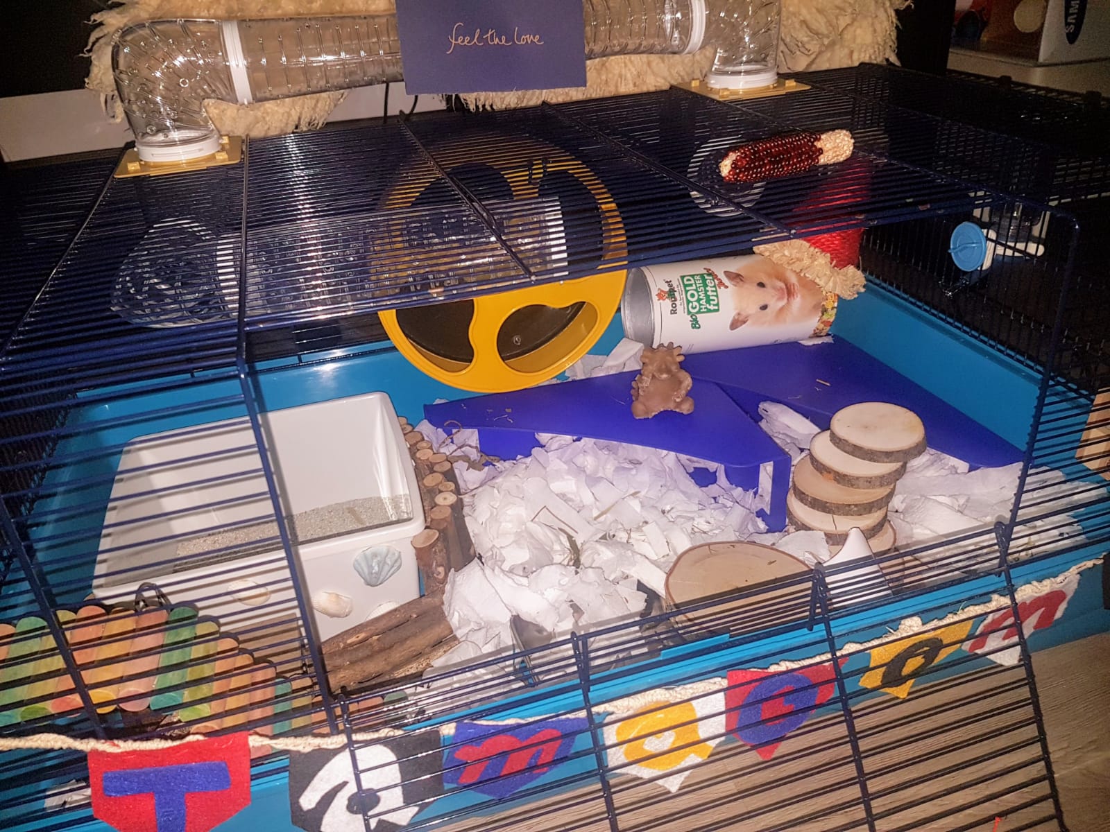 Safe Hamster Bedding Society Singapore - What Can I Use For Bedding My Hamster Safe Hamster Bedding Society Singapore - What Can I Use For Bedding My Hamster