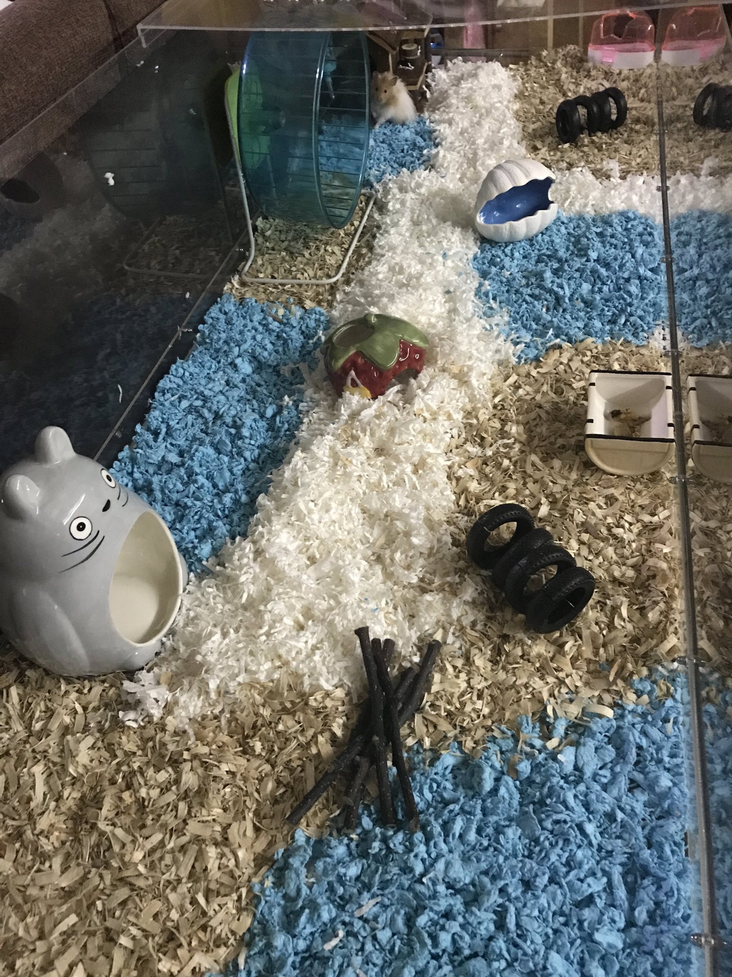 Curated visual reference: Fresh Look at Safe Hamster Bedding
