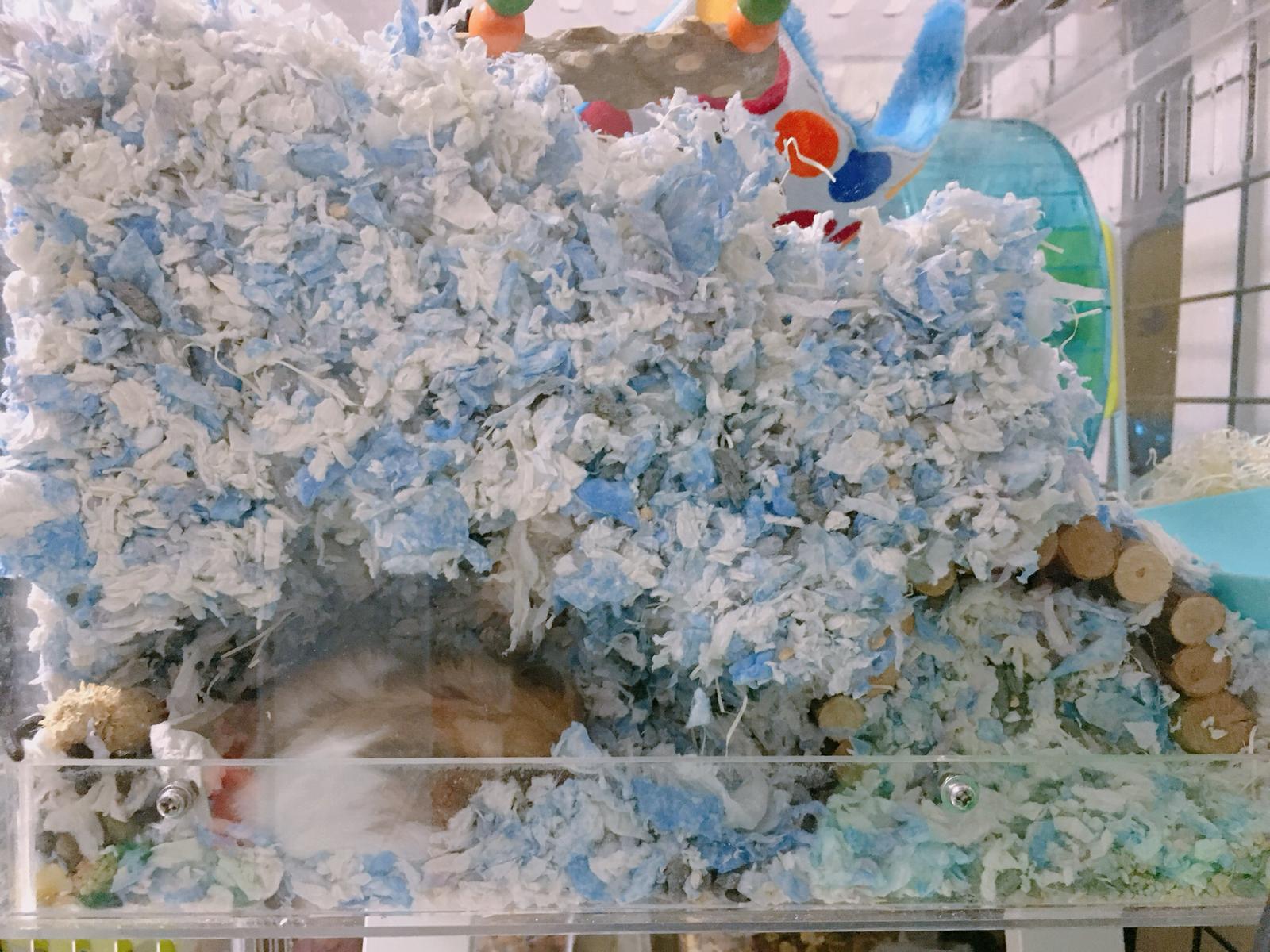 best hamster bedding