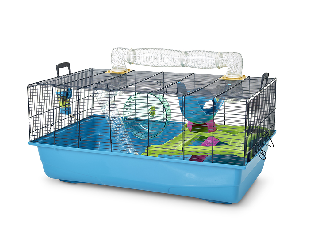 Recommended Hamster Cages Hamster Society Singapore,Sumac Tree