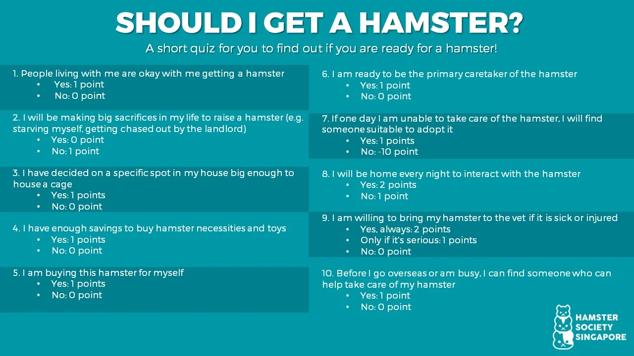 should i get a hamster