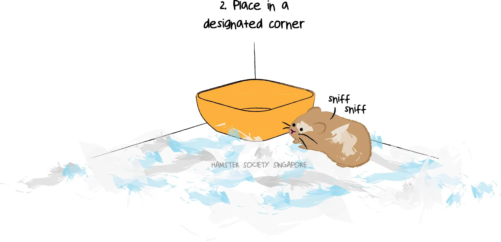 hamster potty corner