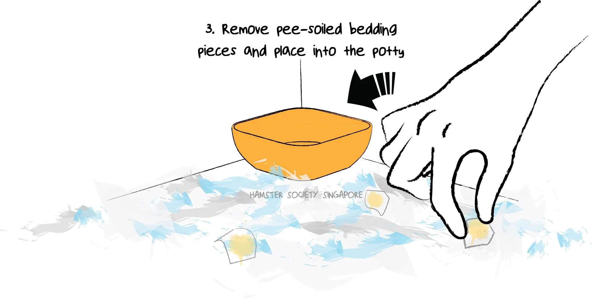 hamster potty training