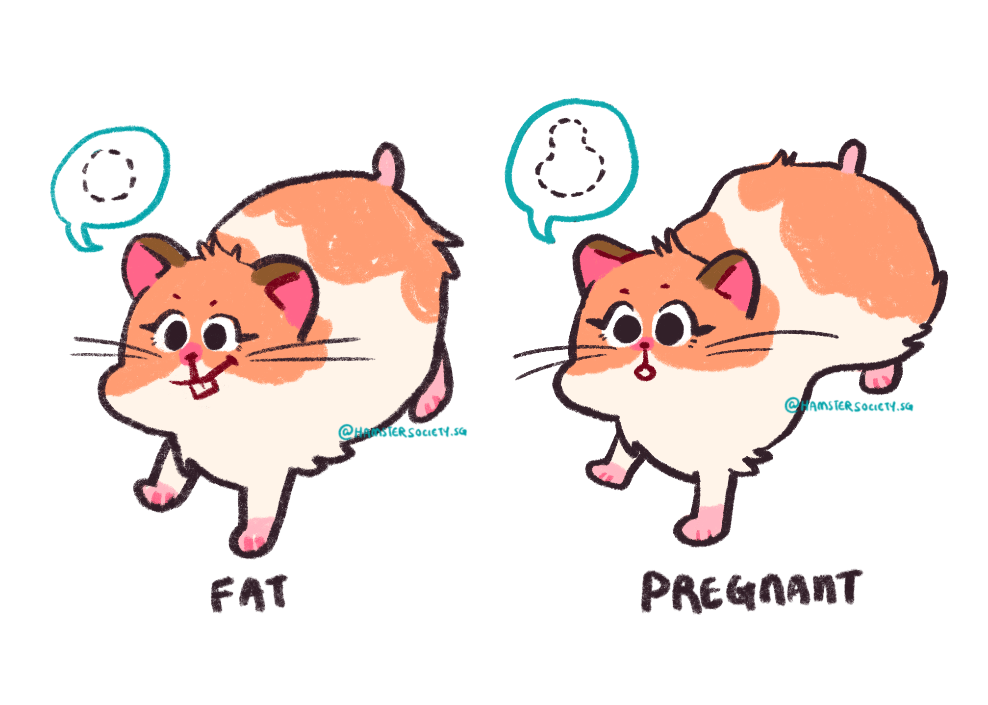 Pregnant Furry Gif 18