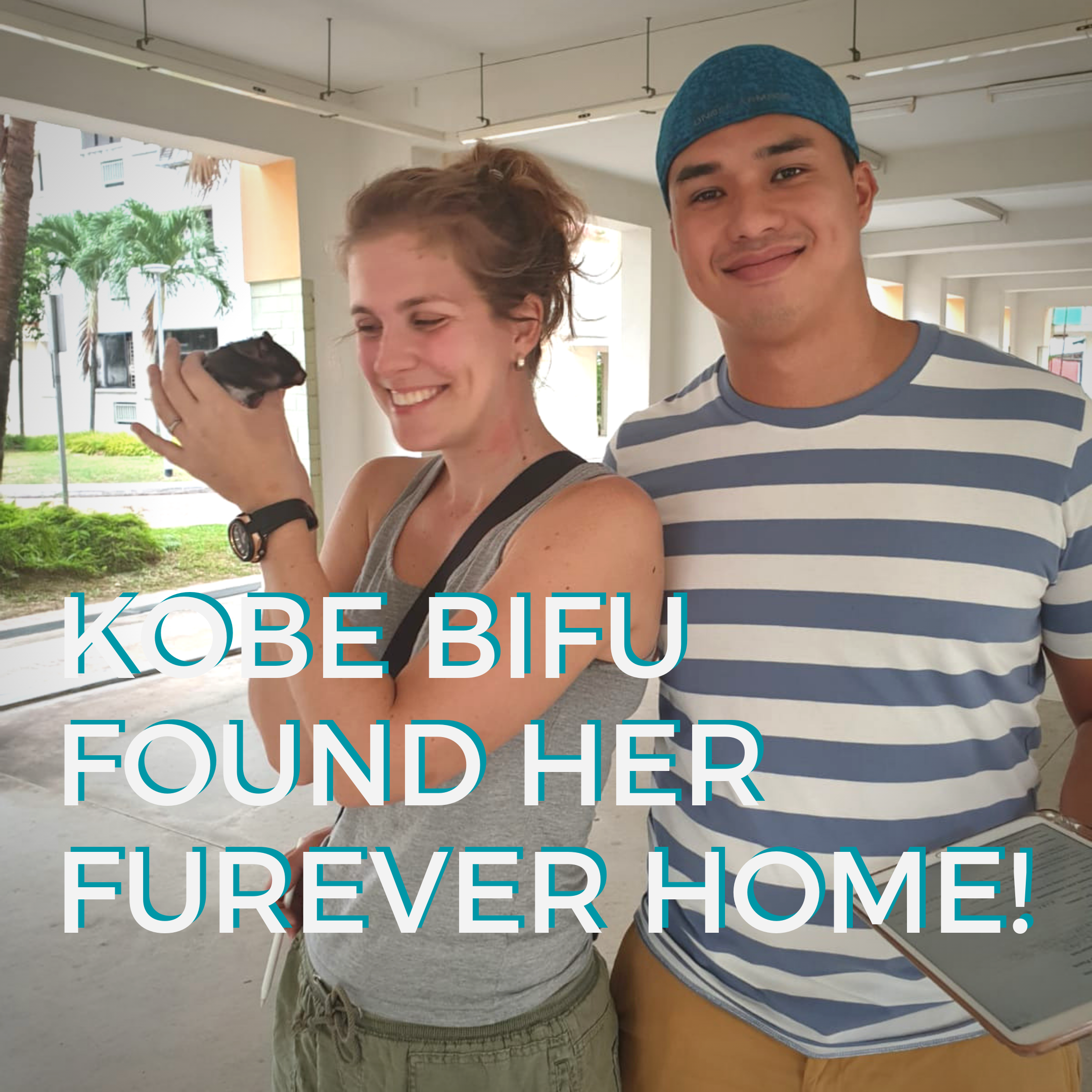 Kobe Bifu (Adopted)