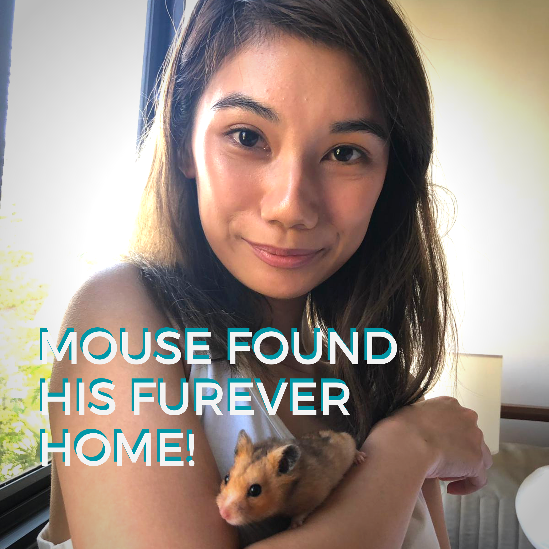 Mouse (Adopted)