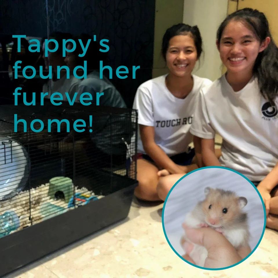 Tappy (Adopted)