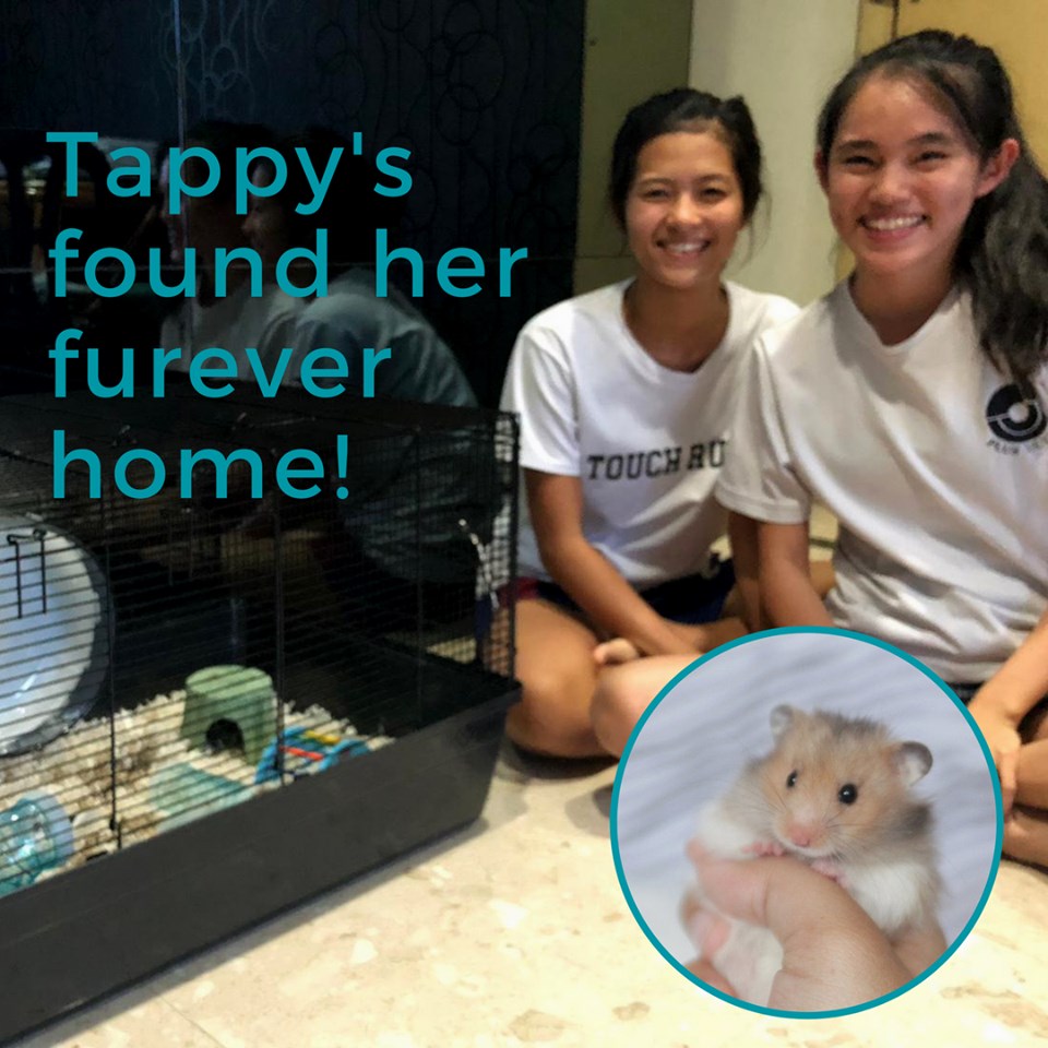 Adopted Tappy.jpg