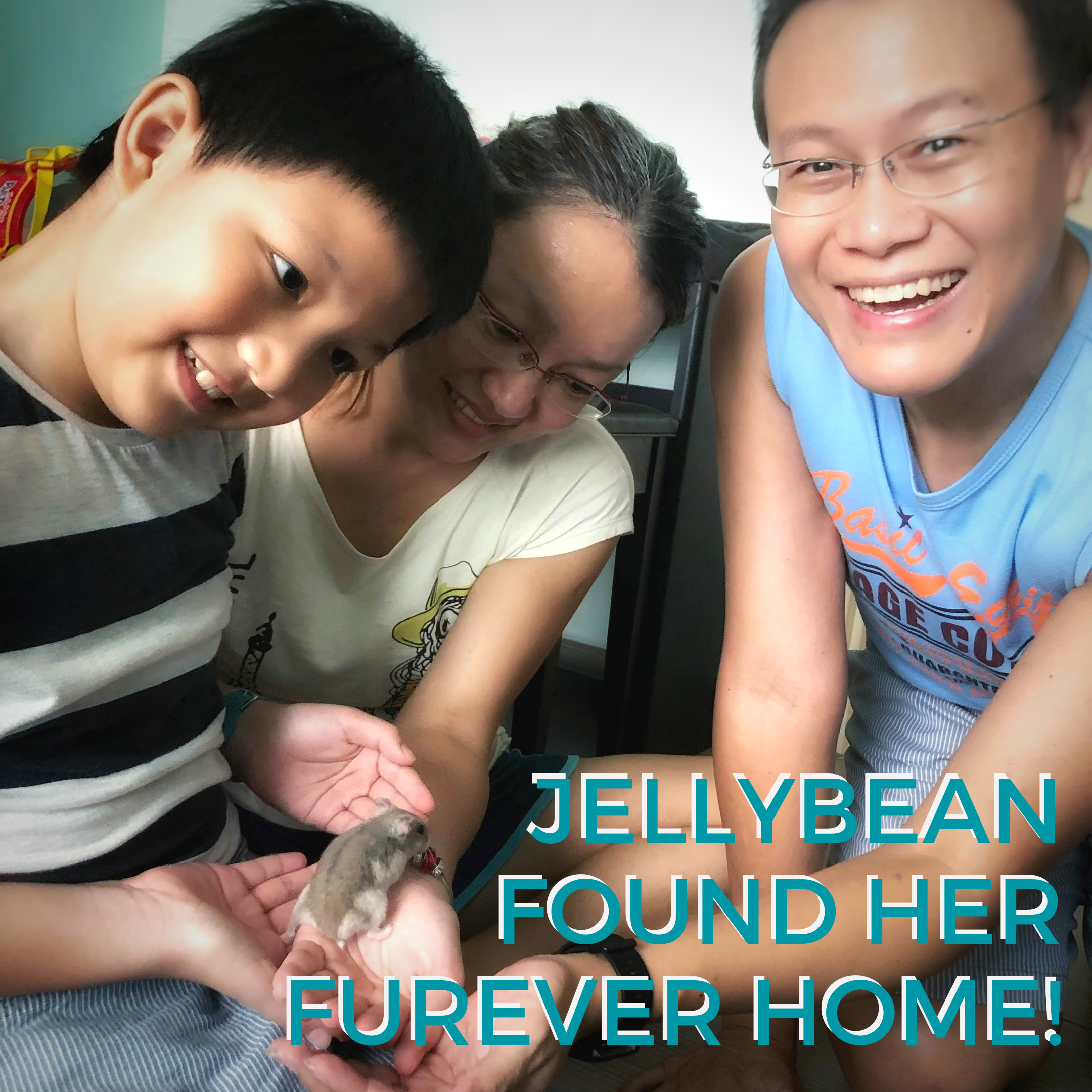 Jellybean (Adopted)