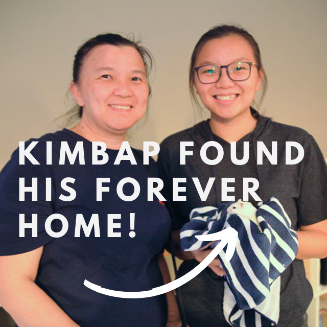 Adopted Kimbap.png