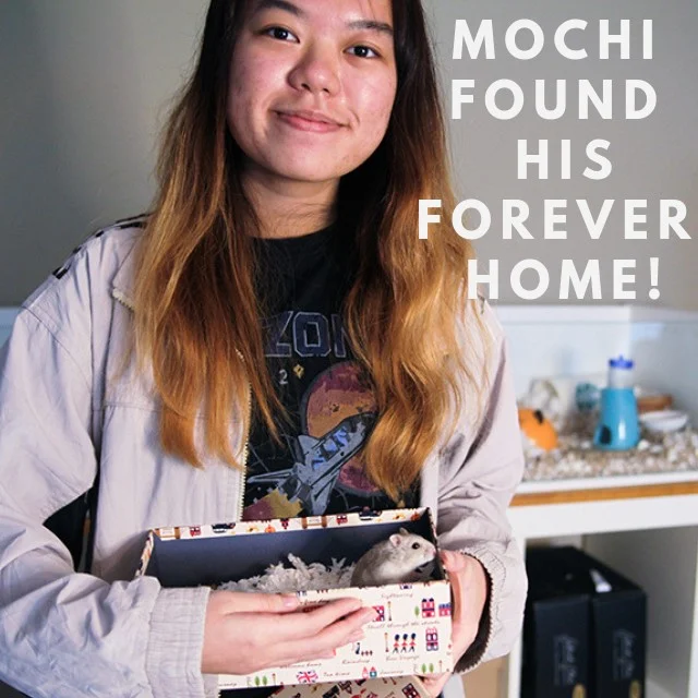 Mochi (Adopted)