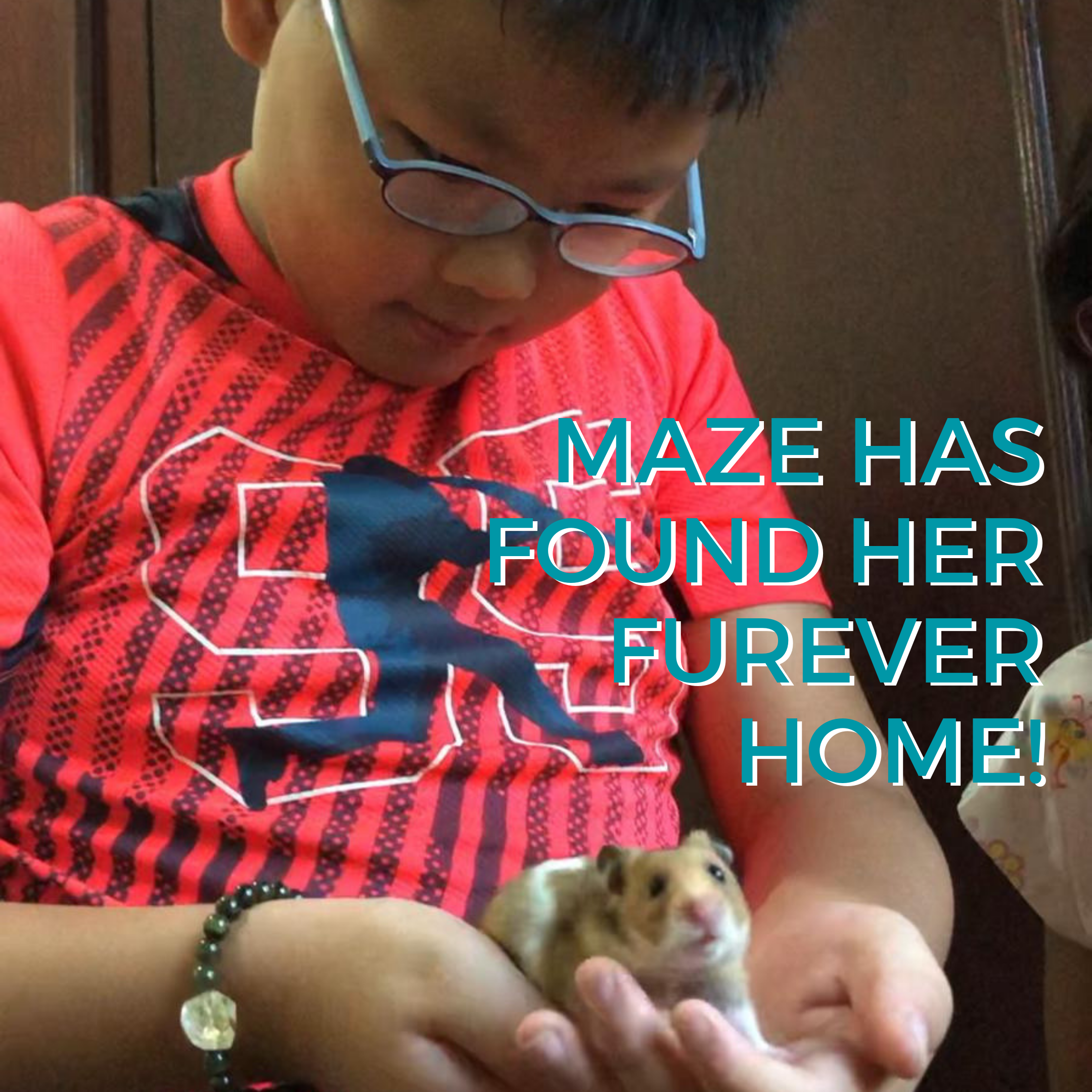 Adopted Maze.png