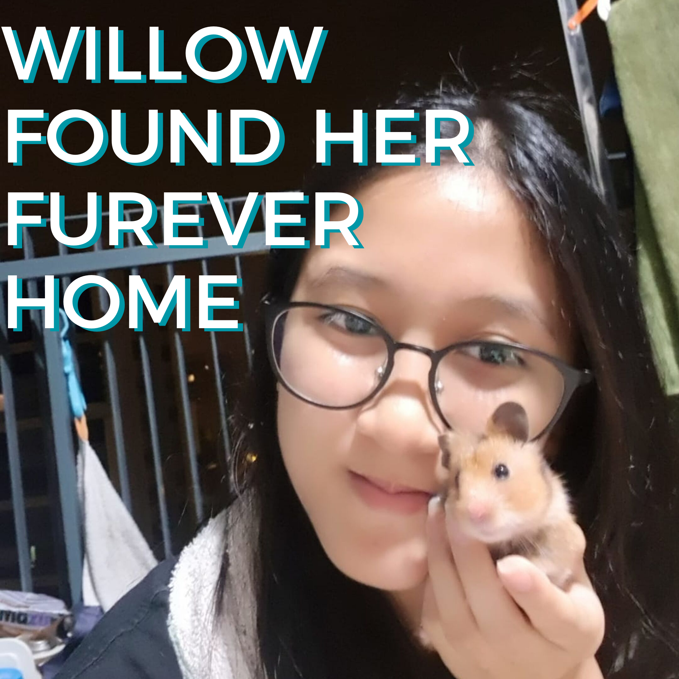 Adopted Willow 2.png