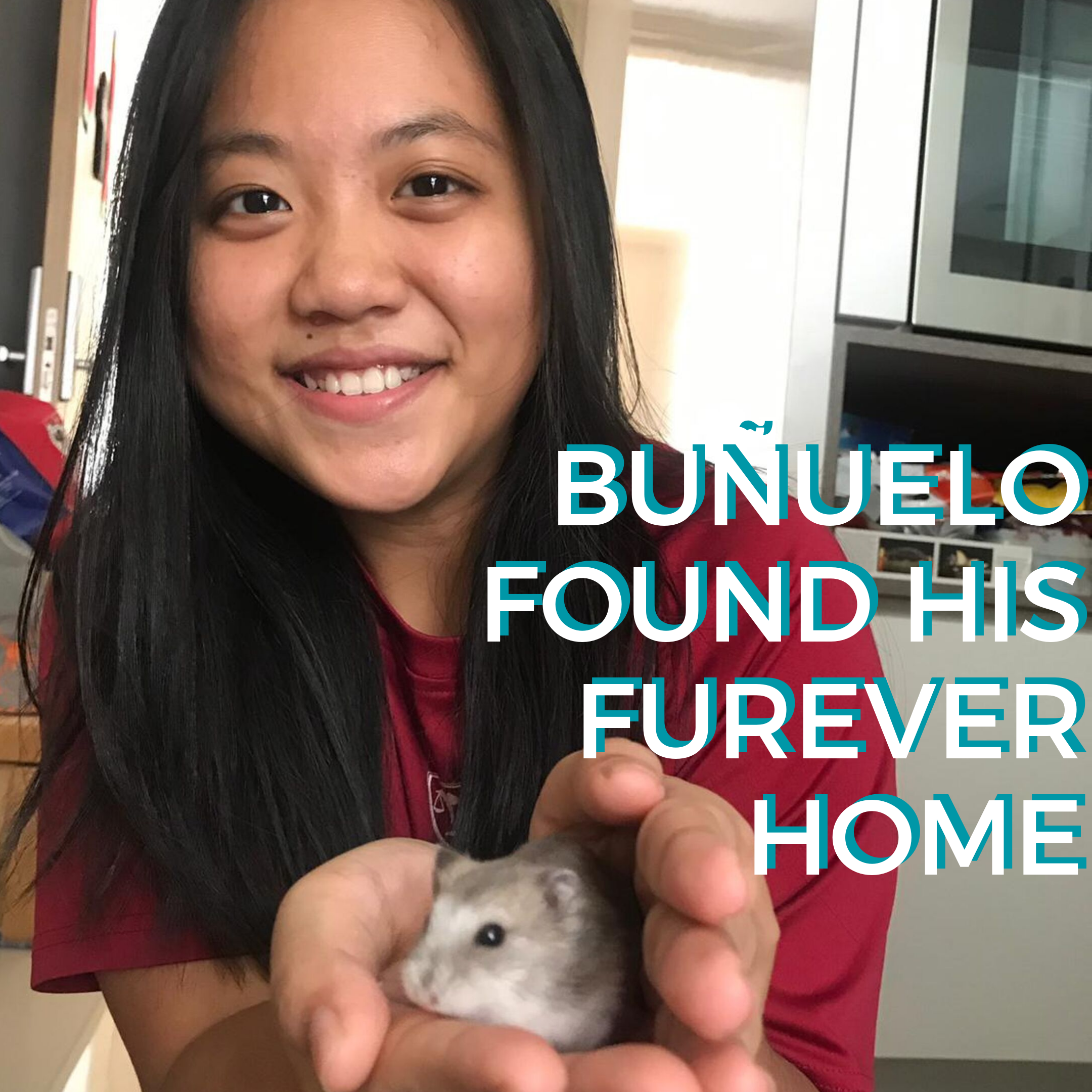 Buñuelo (Adopted)