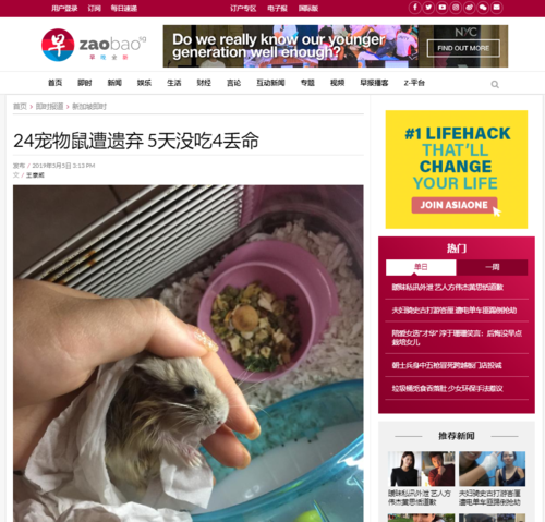 24宠物鼠遭遗弃 5天没吃4丢命