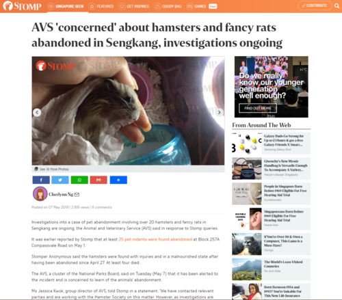 AVS 'concerned' about hamsters and fancy rats abandoned in Sengkang, Investigation ongoing