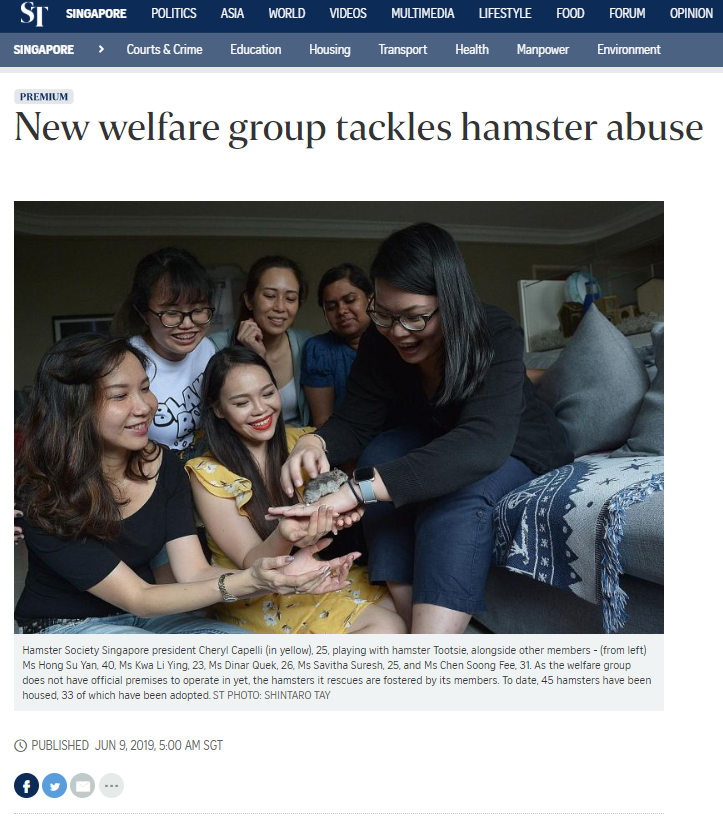 New welfare group tackles hamster abuse