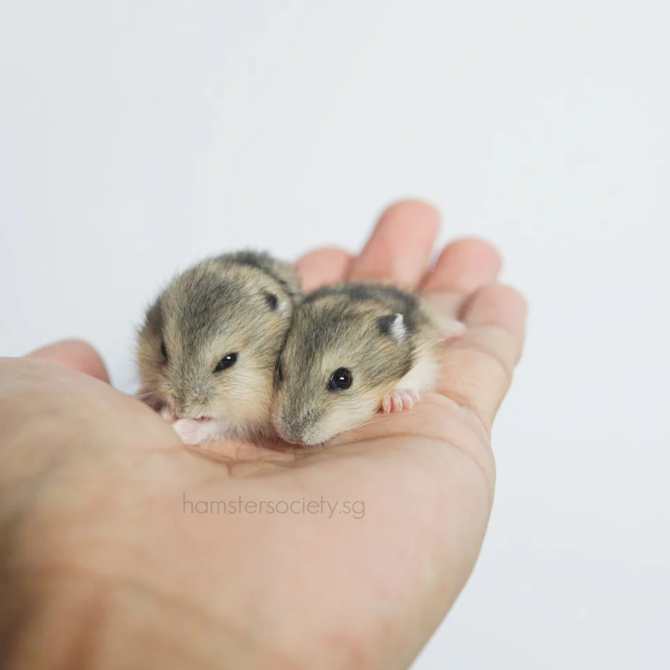 WhatsApp Image 2019-10-01 at 7.11.55 AM-Exposure copy.jpg