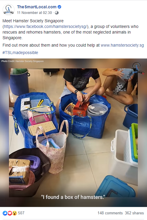 Meet Hamster Society Singapore