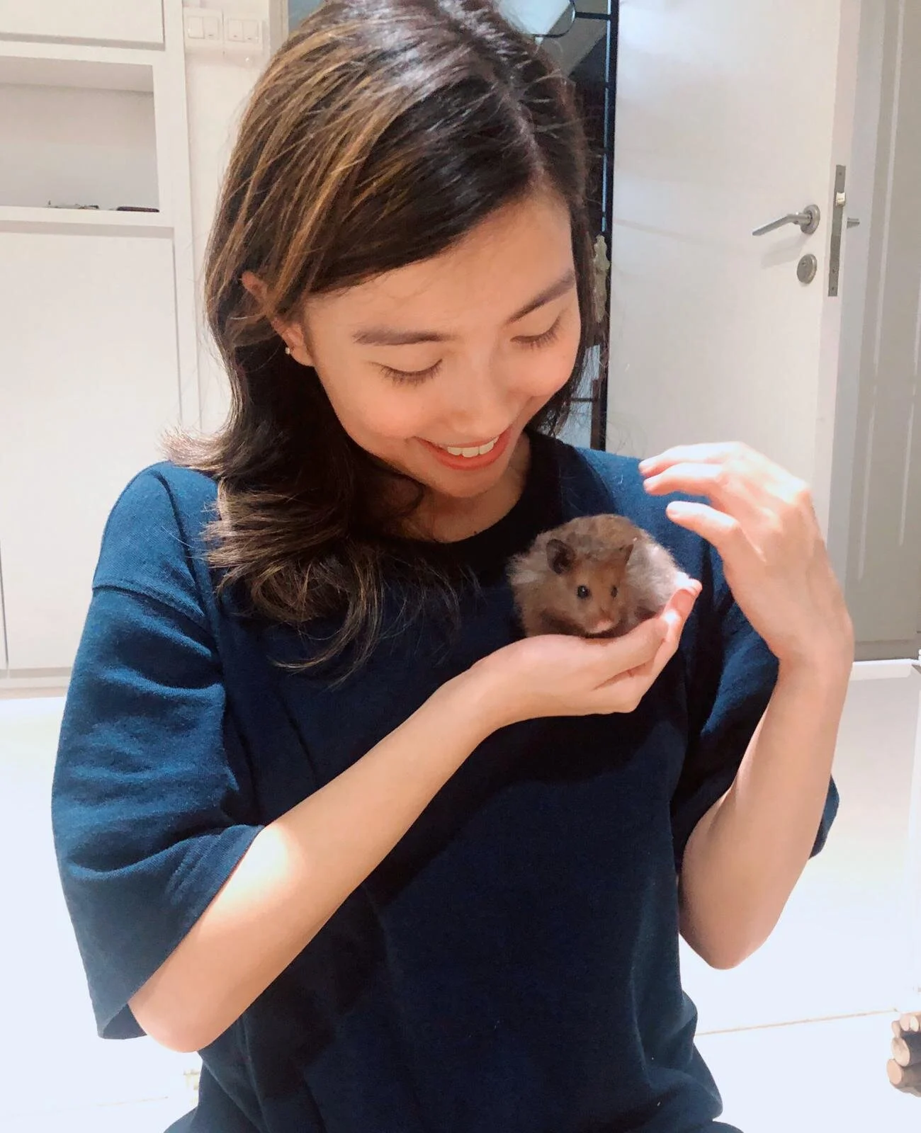 Bandit (Special Health Care Needed) (Adopted)