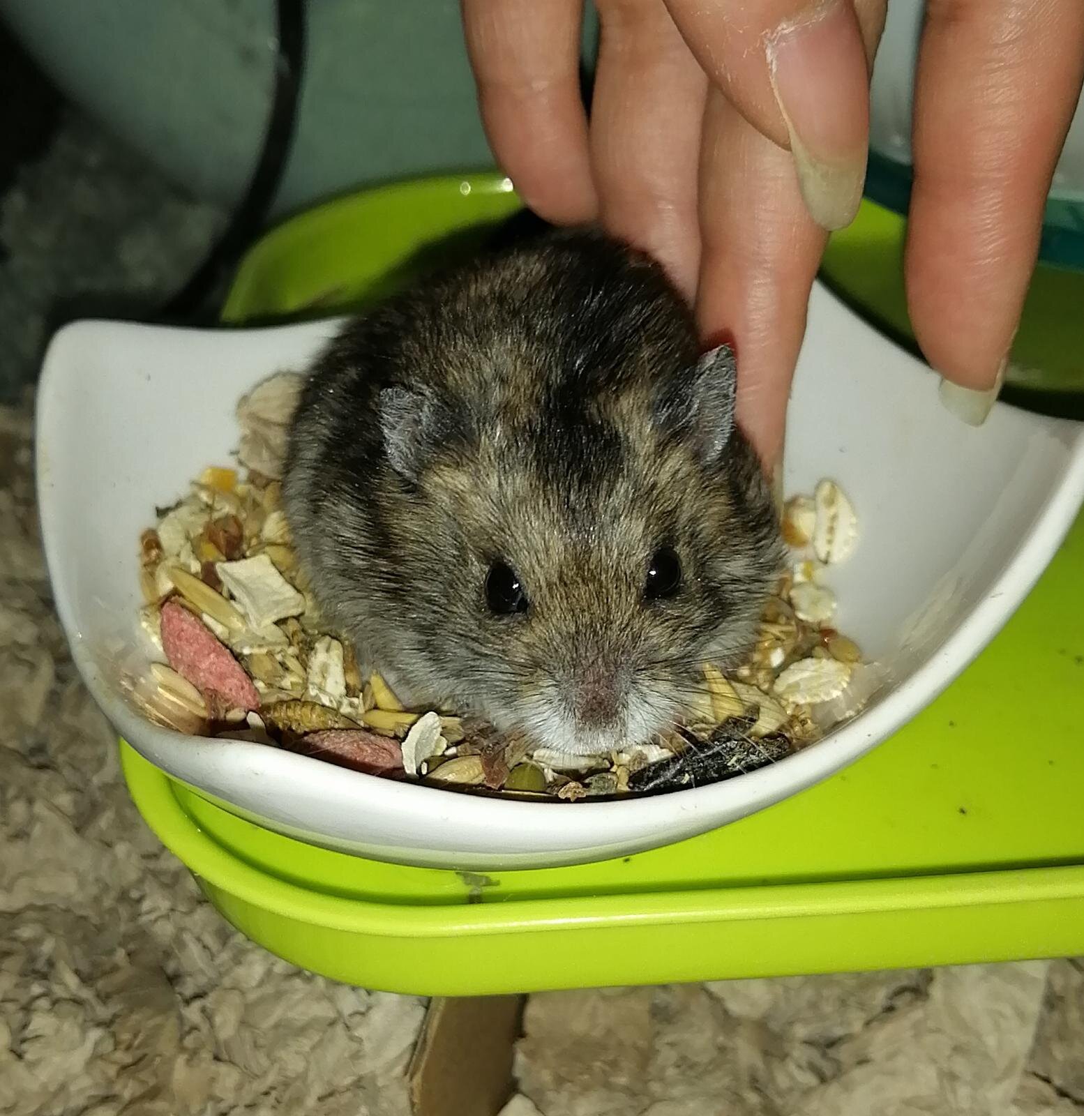 WhatsApp Image 2020-04-26 at 02.00.00.jpeg