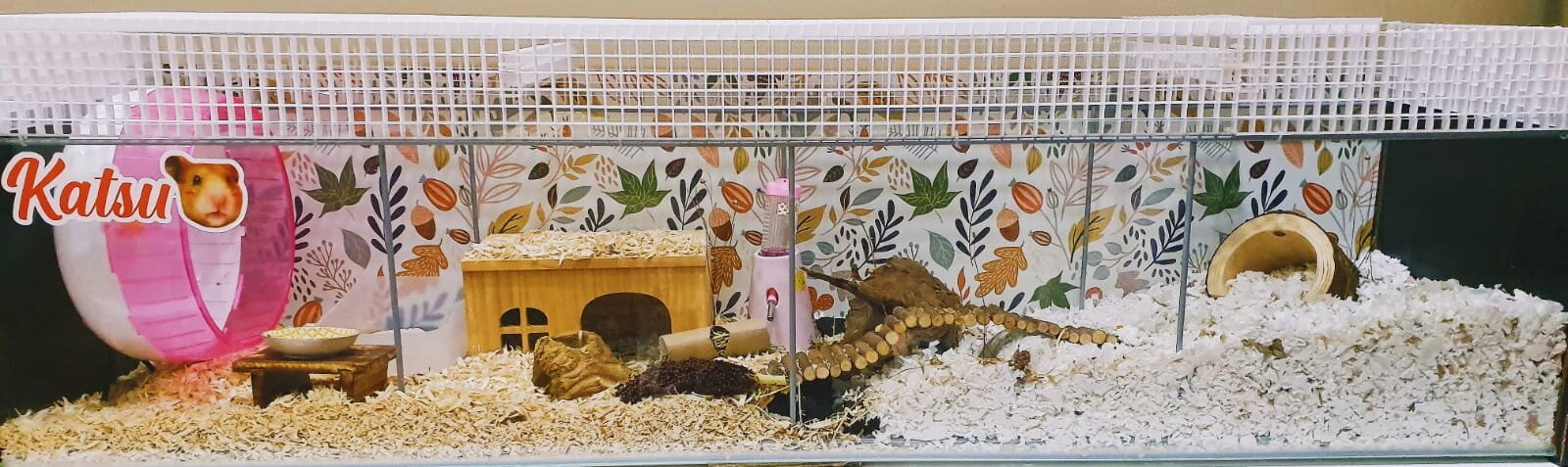 Safe Hamster Bedding Society Singapore - How Deep Hamster Bedding Safe Hamster Bedding Society Singapore - How Deep Hamster Bedding