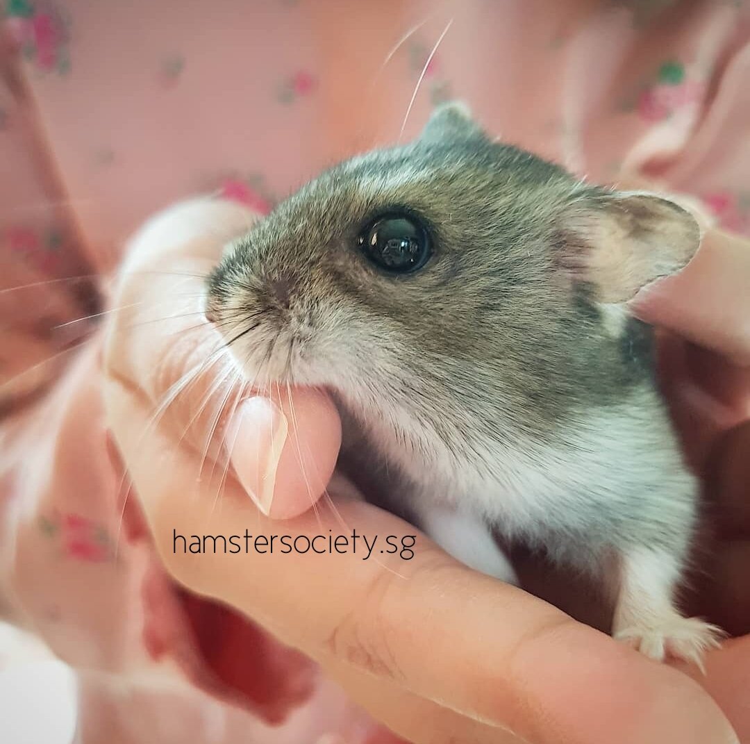 WhatsApp Image 2020-05-30 at 12.23.52.jpeg