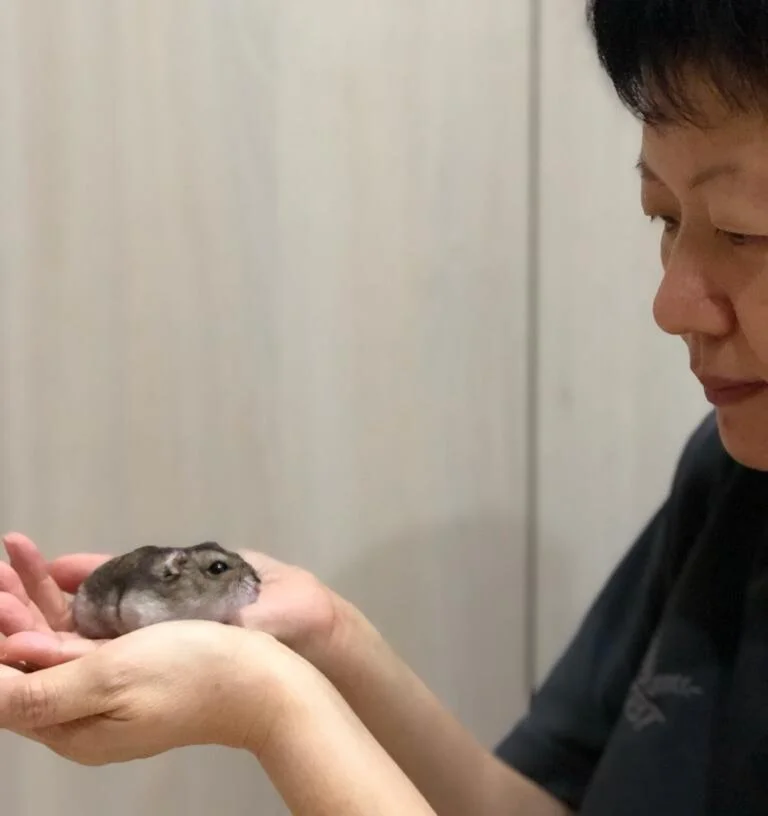 Popiah (Special Care Needed) (Adopted)