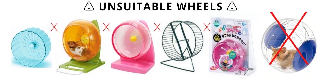 hamster cage fan