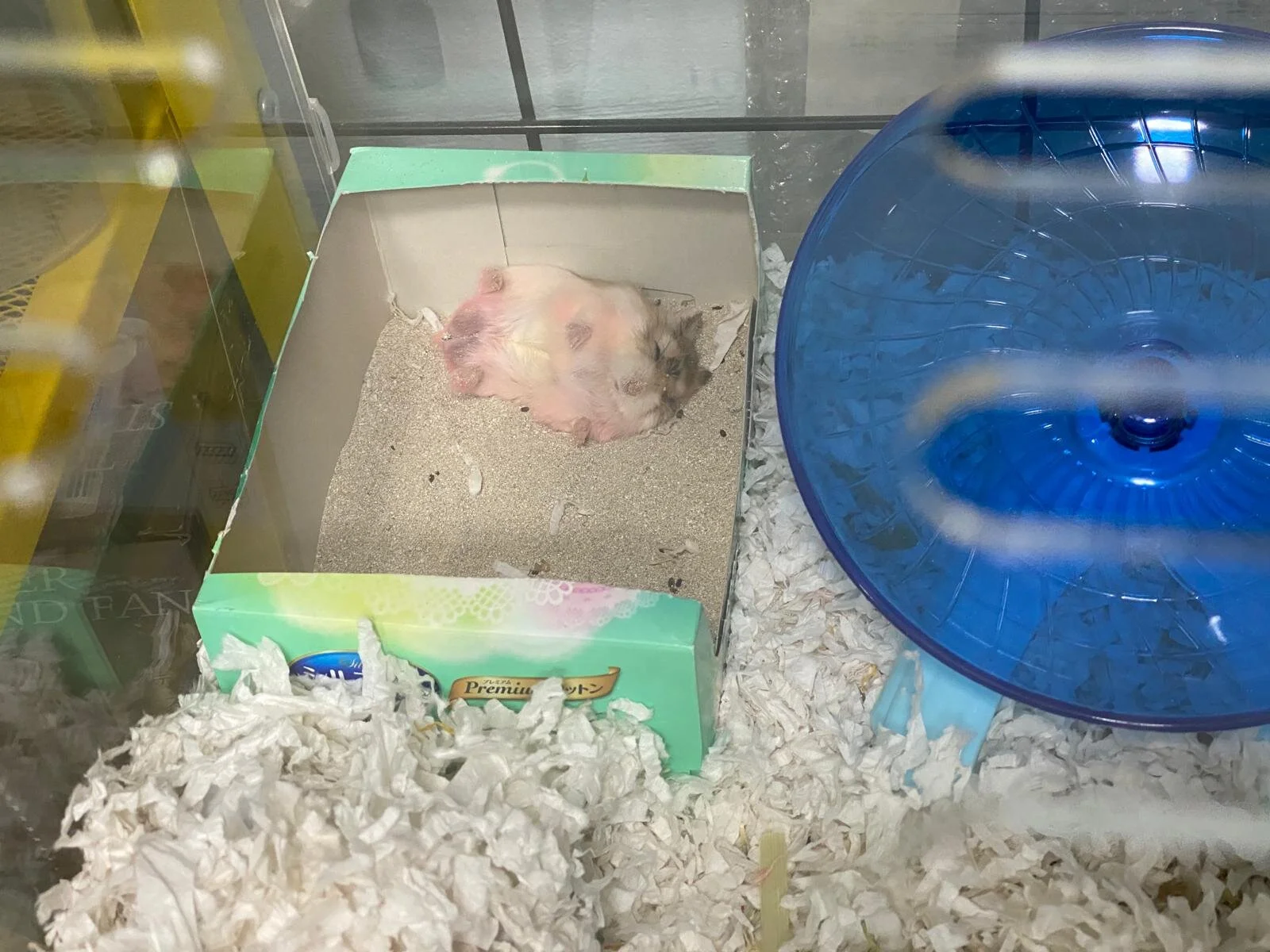 WhatsApp Image 2020-08-06 at 23.10.54.jpeg