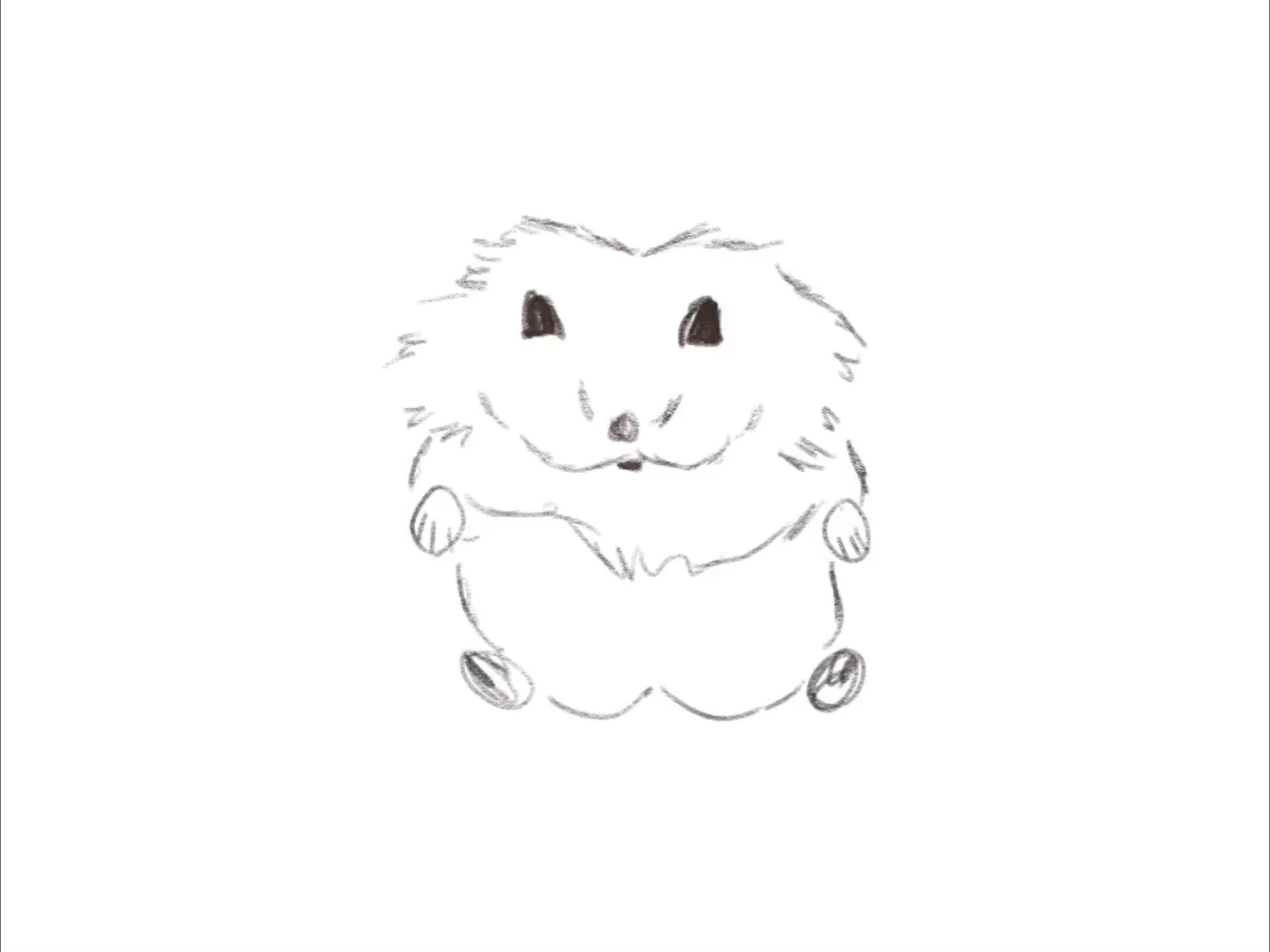 Hamster Drawing