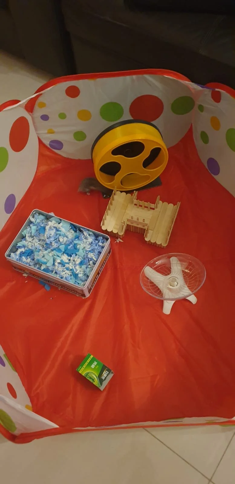 dwarf hamster playpen