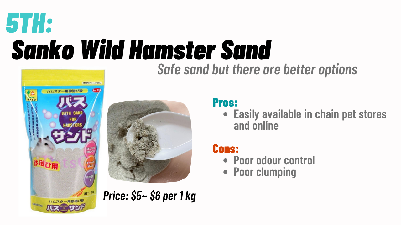 Best & Worst Sand for Hamsters — Hamster Society (Singapore)