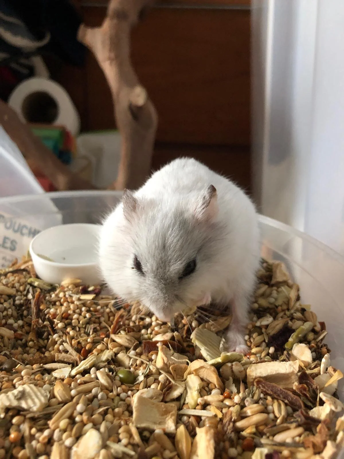 WhatsApp Image 2020-10-06 at 1.57.32 PM.jpeg