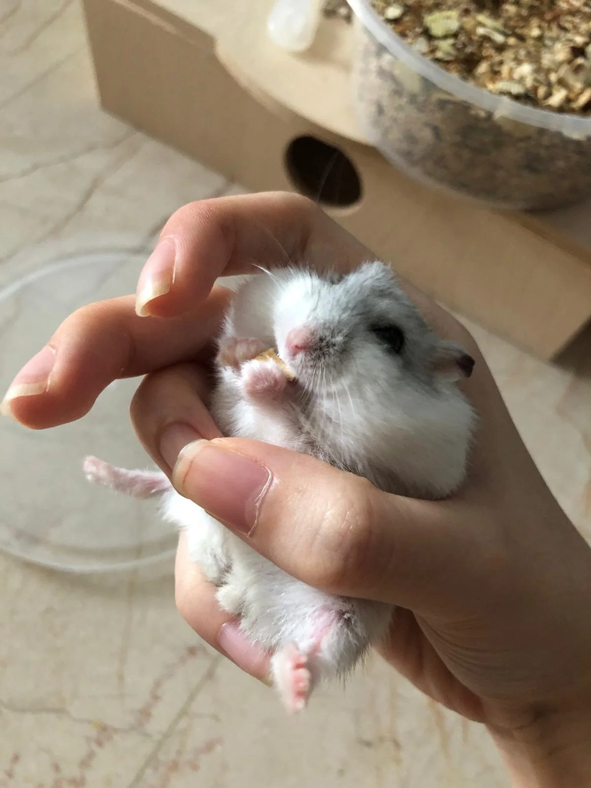 WhatsApp Image 2020-10-06 at 1.57.33 PM.jpeg