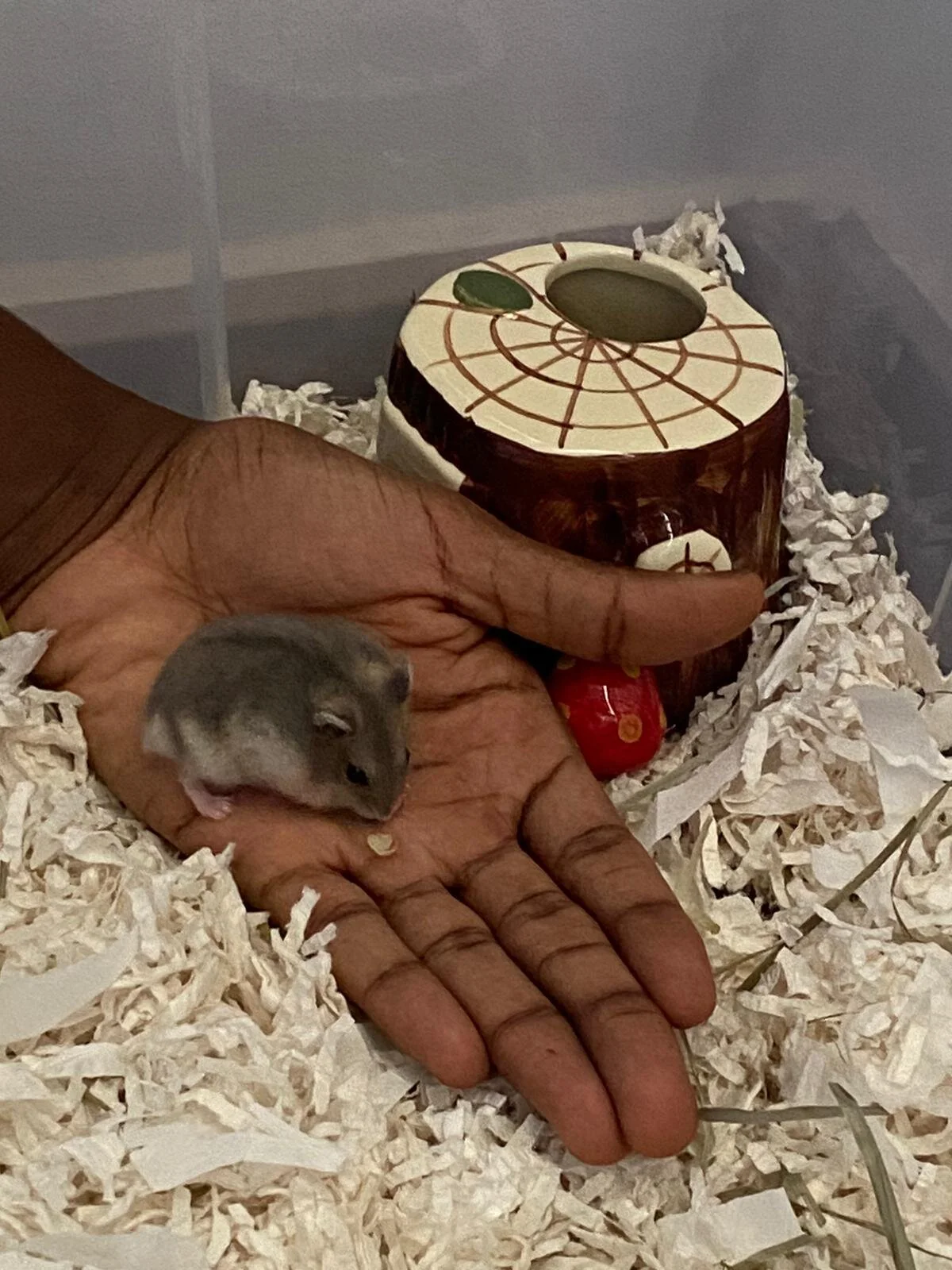 WhatsApp Image 2020-11-01 at 2.40.53 PM.jpeg