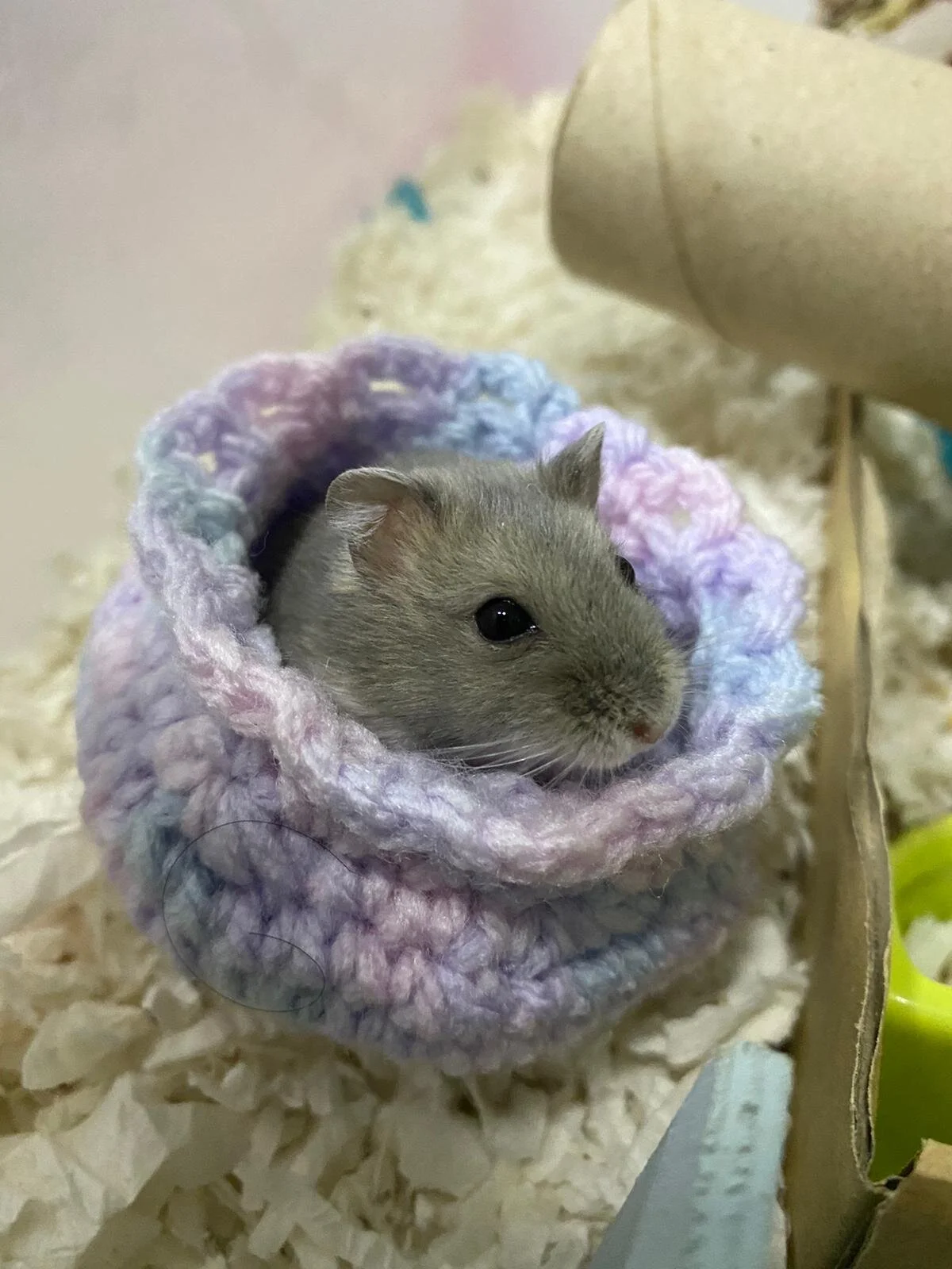 WhatsApp Image 2020-11-08 at 11.29.28 PM.jpeg