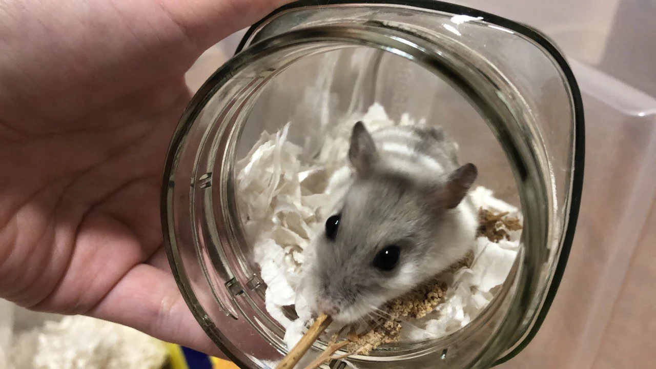 photo_2020-11-21 16.57.27.jpeg