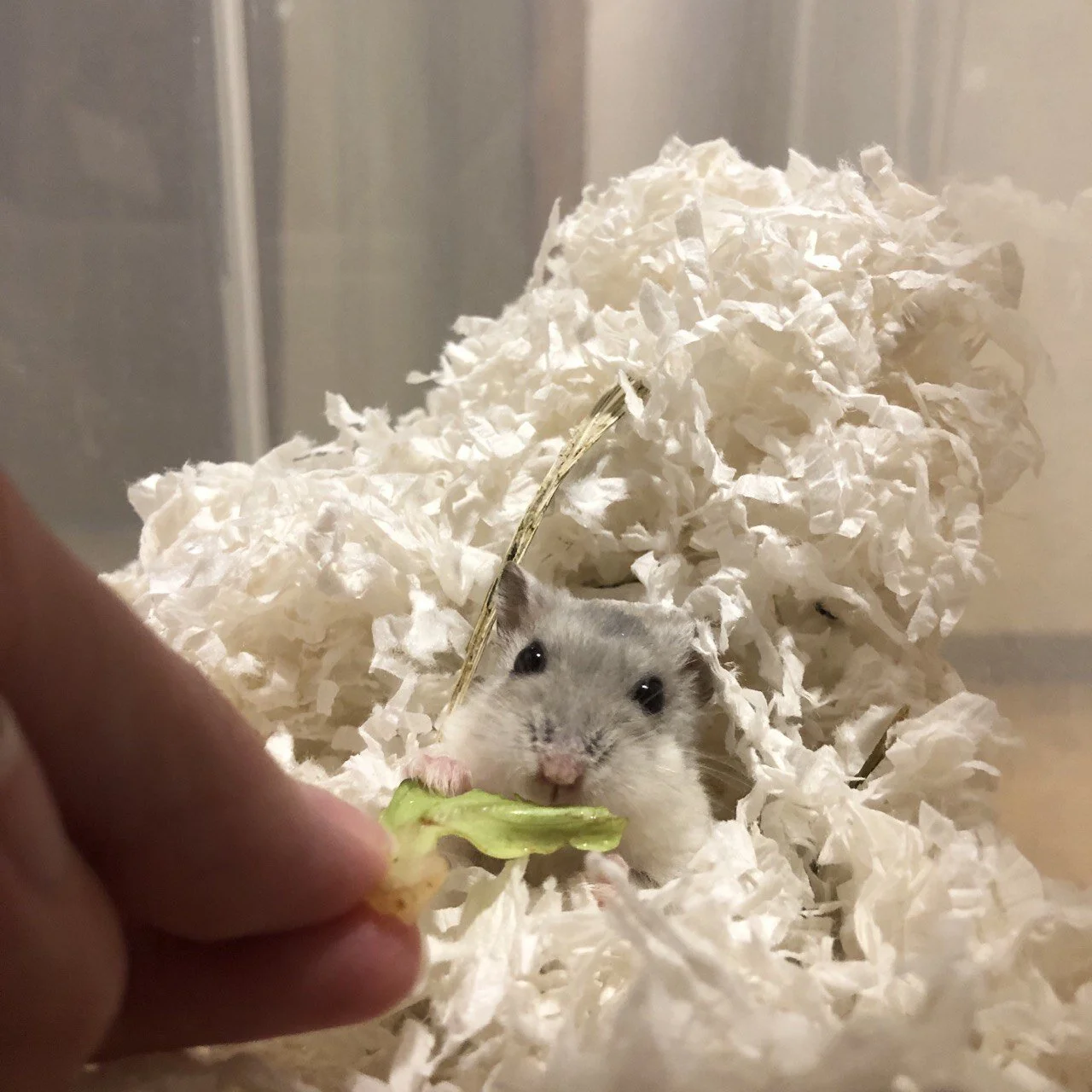 photo_2020-11-21 16.57.29.jpeg