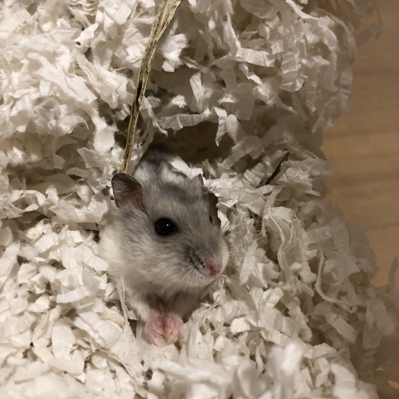 photo_2020-11-21 16.57.33.jpeg