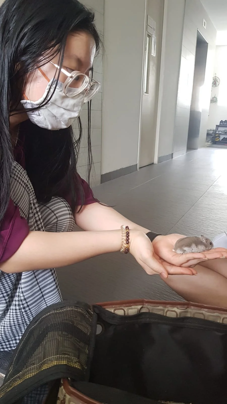 Kiki Hadid (Adopted)