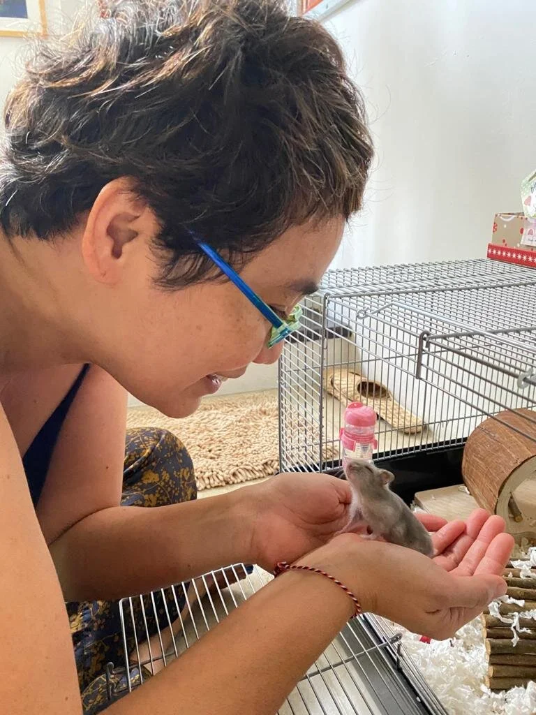 Dim Sum Babies (Adopted)