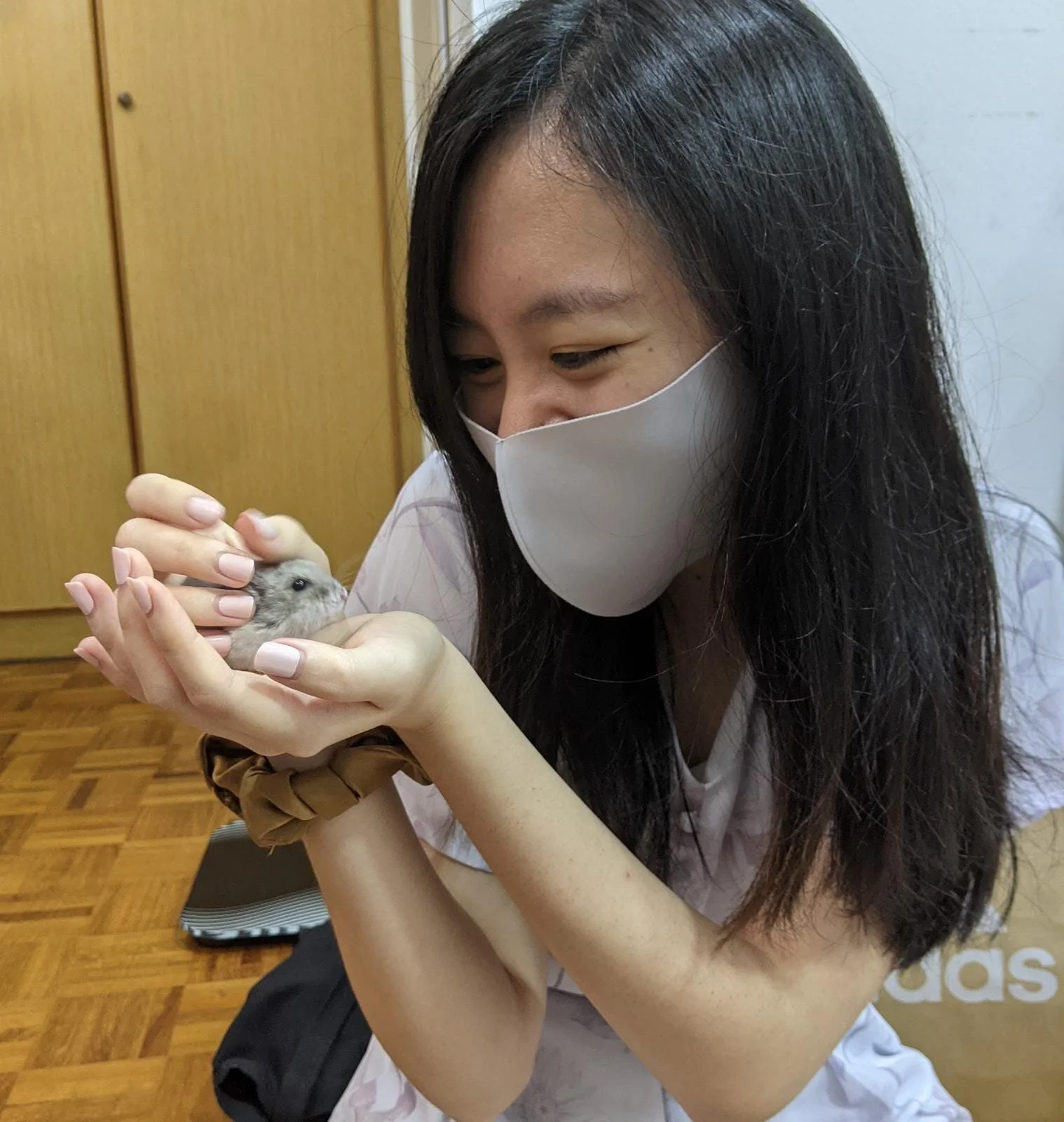 Bolti (Special Care Required) (Adopted)