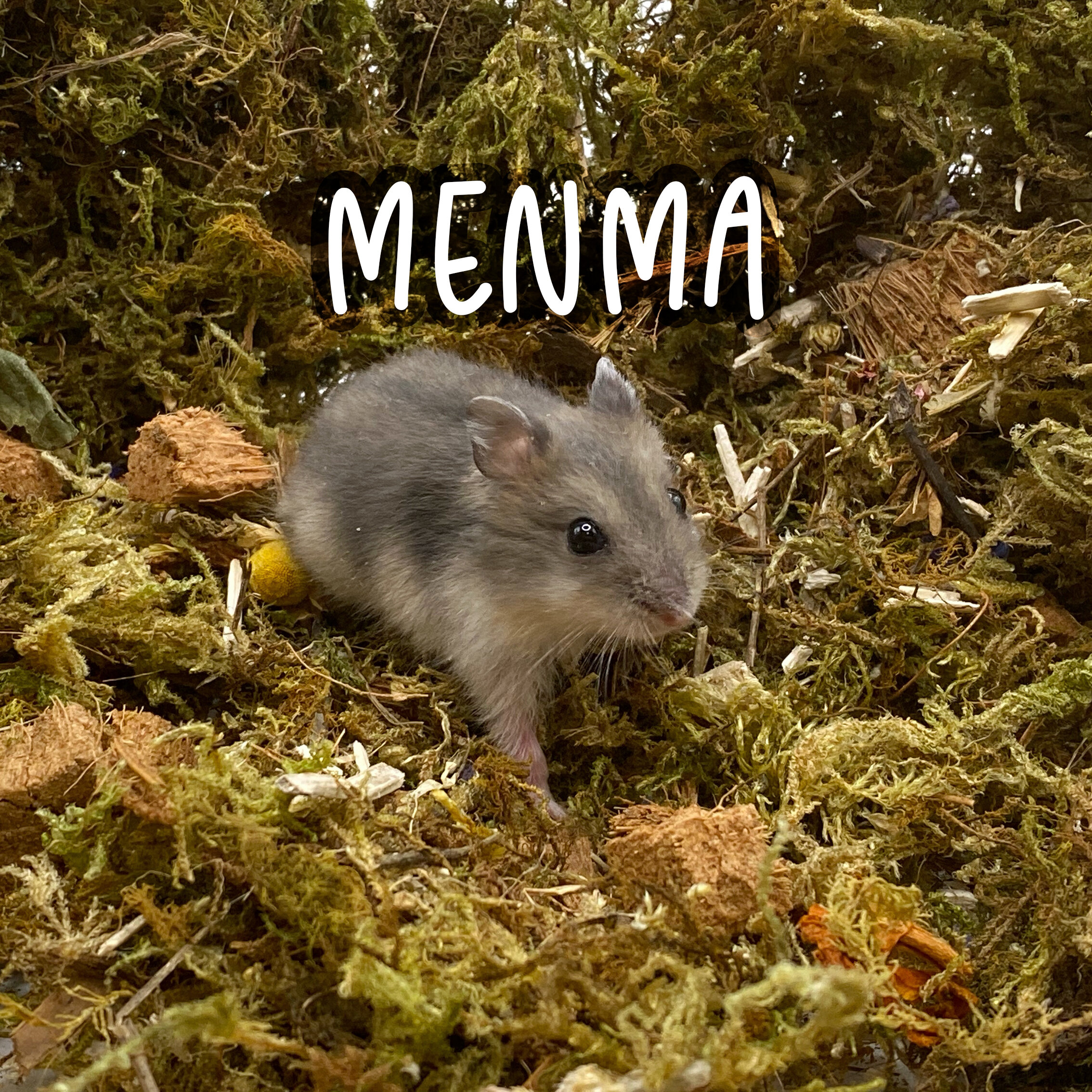 3. Menma.jpg