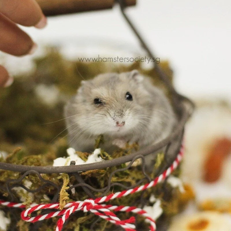 WhatsApp Image 2021-02-03 at 1.56.17 PM (1).jpeg