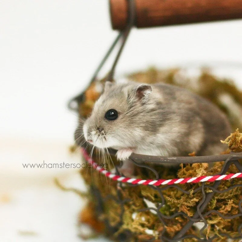 WhatsApp Image 2021-02-03 at 1.56.17 PM.jpeg