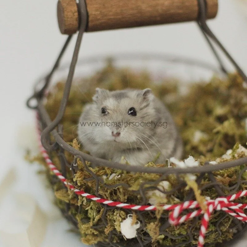 WhatsApp Image 2021-02-03 at 1.56.22 PM (1).jpeg