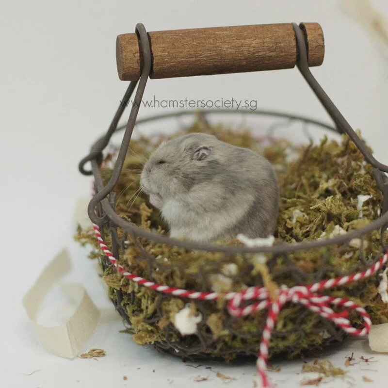 WhatsApp Image 2021-02-03 at 1.56.22 PM.jpeg