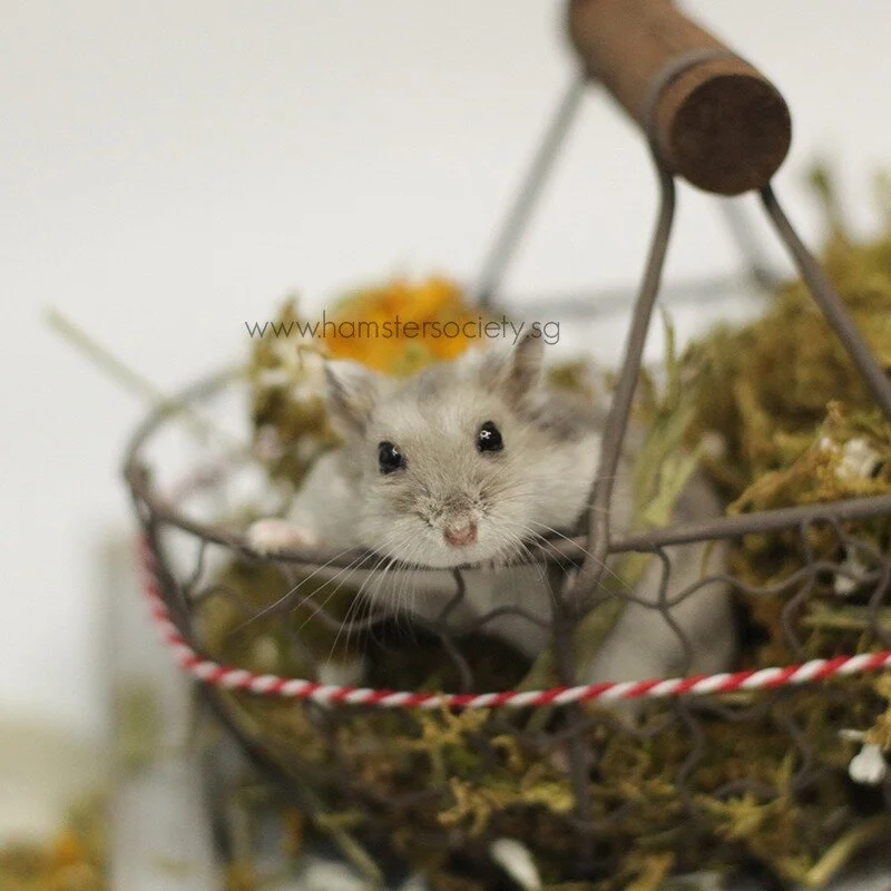 WhatsApp Image 2021-02-03 at 1.56.30 PM (1).jpeg